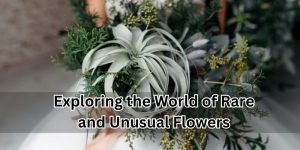 Unusual Flowers