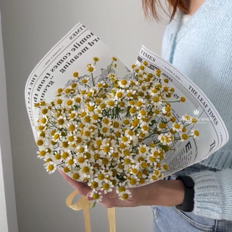 chamomile can be healing flowers