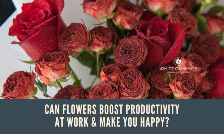 Can Flowers Boost Productivity At Work & Make You Happy