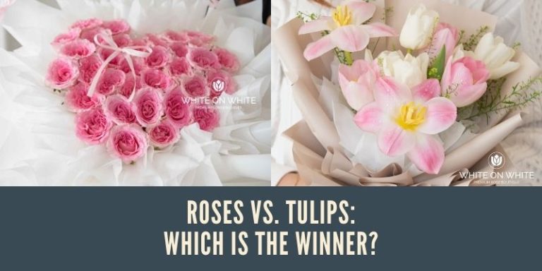 Roses vs. Tulips: What’s the Best Flower for Your Loved One?