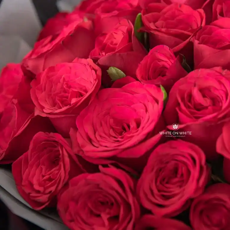 Red roses bouquet for special occasions, same-day delivery in Singapore.