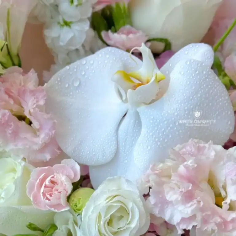 White orchid with water droplets surrounded by pink and white roses and carnations, elegant floral arrangement.