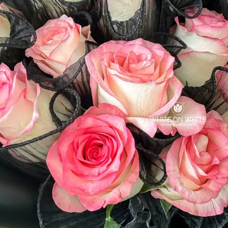 Pink and white roses in a floral arrangement with black decorative ribbons, perfect for gifting or special occasions.