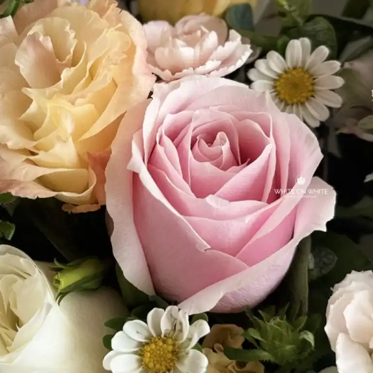 Soft pink rose with white and yellow flowers, elegant floral arrangement for special occasions in Singapore.
