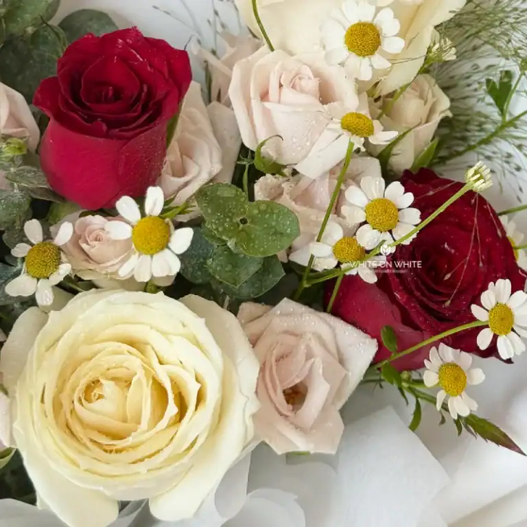 Vibrant red and soft white roses with daisy accents in a luxurious floral arrangement, perfect for any special occasion.